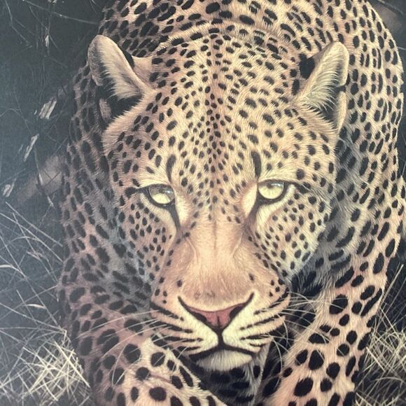 Seriolithograph in Color Silent Stalker by Andrew Bone - Picture 4 of 6